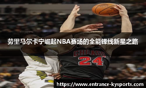 开云kaiyun网页版