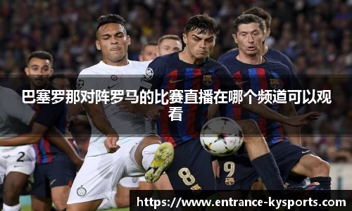开云kaiyun网页版