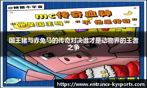 开云kaiyun平台