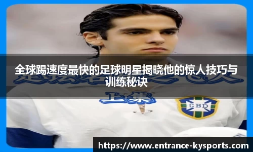 开云kaiyun网页版